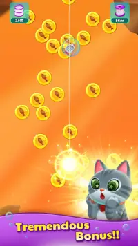 Catch & Match: cat fish puzzle Screen Shot 6