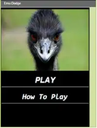 Emu Dodge Screen Shot 0