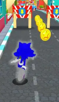 Subway Hedge Hog Run 2020 Screen Shot 3