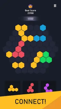 Block Hexa - Puzzle Game Screen Shot 0
