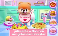 Boo – El Perro Más Lindo Screen Shot 1