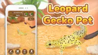 Leopard Gecko Pet Screen Shot 0