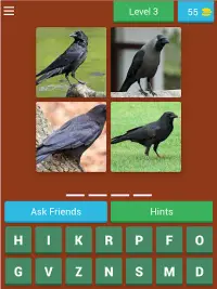 Birds Quiz Screen Shot 15