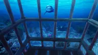 VR Abyss: Sharks & Sea Worlds Screen Shot 9