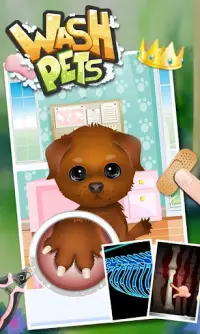 Wash Pets - kids games Screen Shot 1