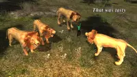 Lion Attack 3D Simulator Screen Shot 3