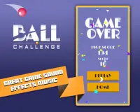 Ball Challenge Screen Shot 2