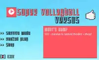 Super Volleyball Versus Screen Shot 1