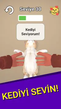Kedi Yavrusu Oyunu Screen Shot 0