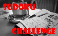 Sudoku Challenge Screen Shot 6