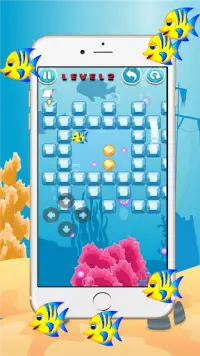 Fish live Solve problem to escape Screen Shot 1