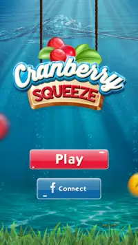 Cranberry Squeeze Screen Shot 5