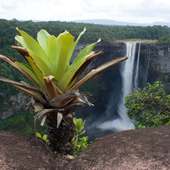 Guiana quebra-cabeças