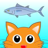 Food & Rubbish: Cat eat Fish