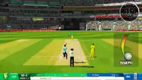 Jogos críquete T20 mundo real Screen Shot 9