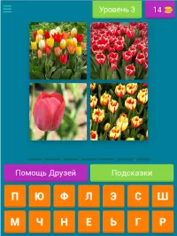 4 фото 1 слово.Бесплатные игры Screen Shot 15