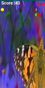 Lady Butterfly Screen Shot 3