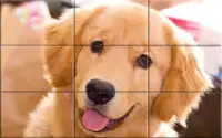 Puzzle - Puppies Screen Shot 8