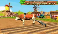 Bull Farming Village Farm 3D Screen Shot 6