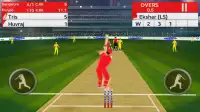 Play Cricket Screen Shot 2