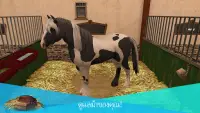 HorseWorld: เบี้ยประกันภัย Screen Shot 0