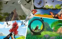 Bird Hunting Master: Birds Game 2020 Screen Shot 4
