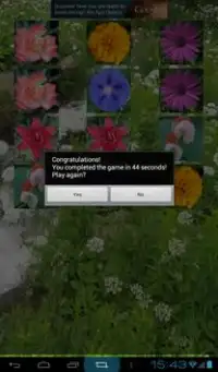 Summer Flowers: Memory (Free) Screen Shot 1