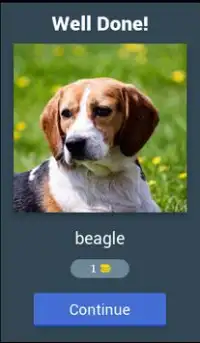 Guess The Dog Breed Quiz Screen Shot 1