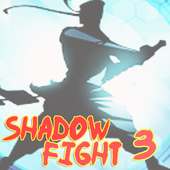 New Hint Shadow Fight 3