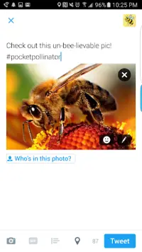 Pocket Pollinator Screen Shot 4