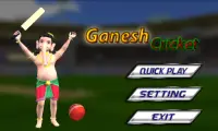 Ganesha Cricket Screen Shot 12