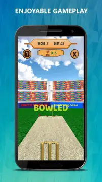 Bowled 3D - Cricket Game Screen Shot 1