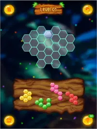 Block Puzzle - Hexa! Block Puzzle Screen Shot 11