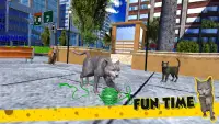 Cat Family Simulator Game Screen Shot 4