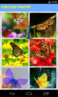 Butterflies Jigsaw Puzzle Screen Shot 1