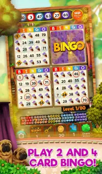 Bingo Pets Party: Dog Days Screen Shot 1