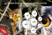 Puzzle with birds Screen Shot 6