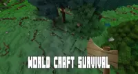 World Craft : Crafting and Building Simulator Screen Shot 0