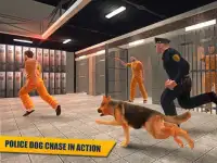 Тюрьма побег Полицейская собак Screen Shot 5