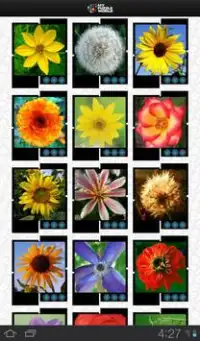 Blumen Puzzle – MPW Screen Shot 21