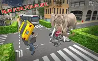 Elephant City Rampage Screen Shot 4