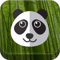 Flying Panda Free Game