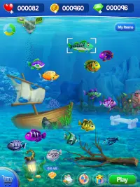 Fish Aquarium Bubble World Screen Shot 0