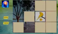 Kids Memory Game Birds Screen Shot 8