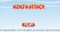 Ninja Attack Screen Shot 0