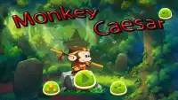 Monkey Caesar Screen Shot 2