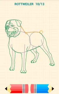 Como Desenhar Cães Screen Shot 10