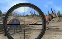 🦌Jungle Sniper Hunter Wild 3D Screen Shot 0