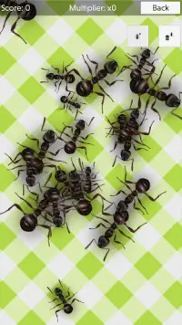 No più formiche (gratuito) - squash Screen Shot 2