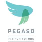 Pegaso test (Unreleased)